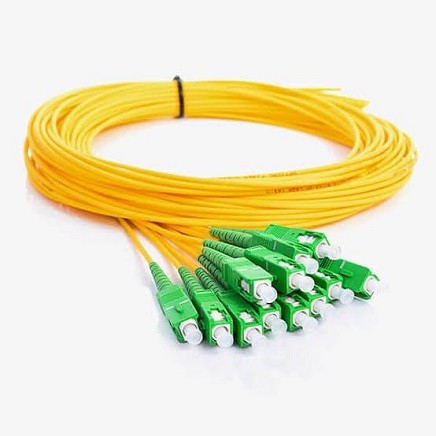 Fiber